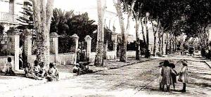 2183- Zeralda - Rue Principale et Avenue des Platanes2
